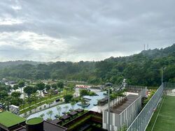 Dairy Farm Residences (D23), Apartment #430419841